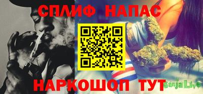 дживик Гай