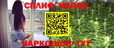 дживик Гай