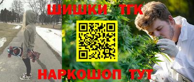 прущие крисы Гатчина