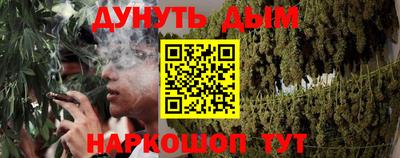 дживик Гай