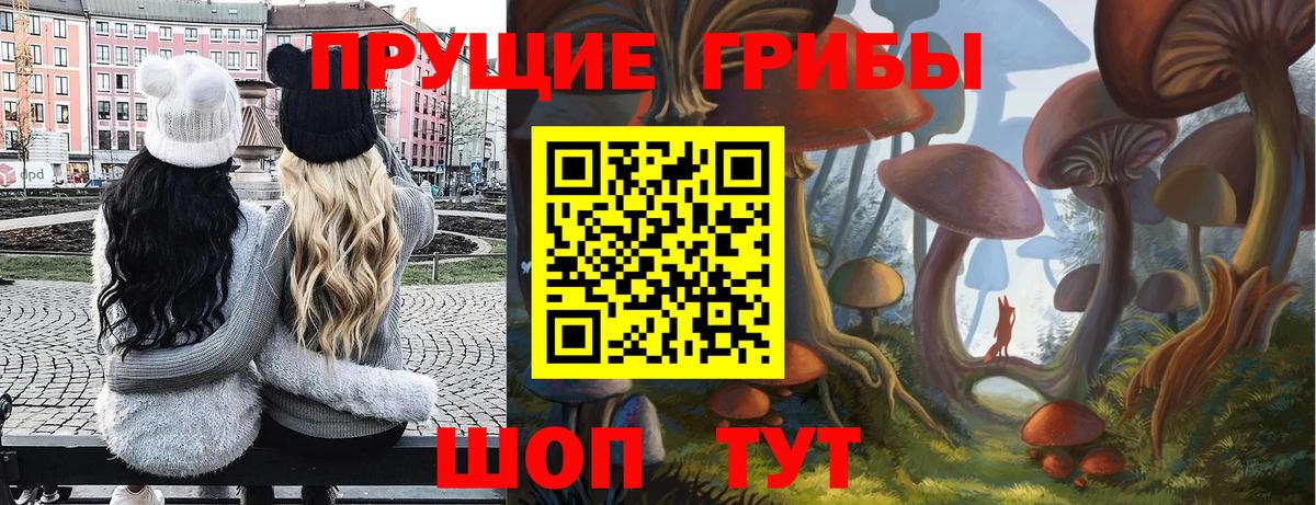 Псилоцибиновые грибы мухоморы  продажа наркотиков  Воркута  Вход с VPN 