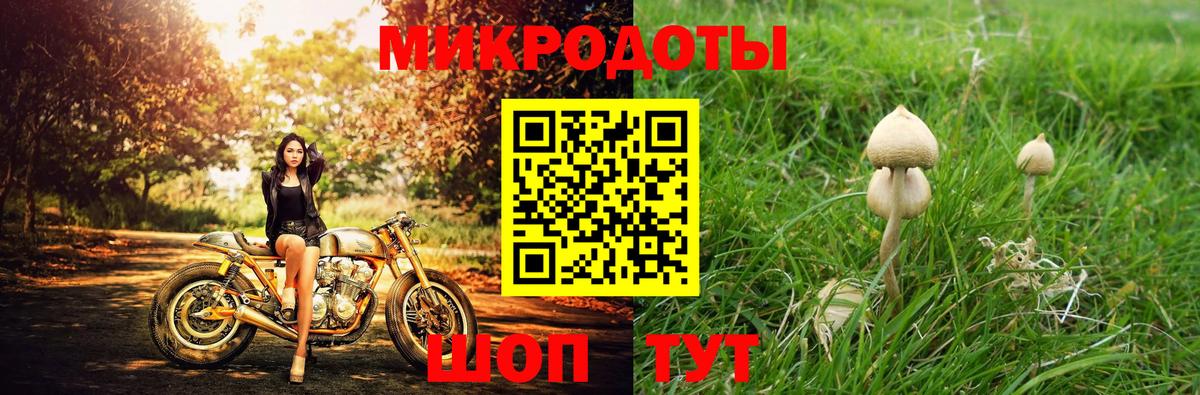 Галлюциногенные грибы GOLDEN TEACHER Воркута